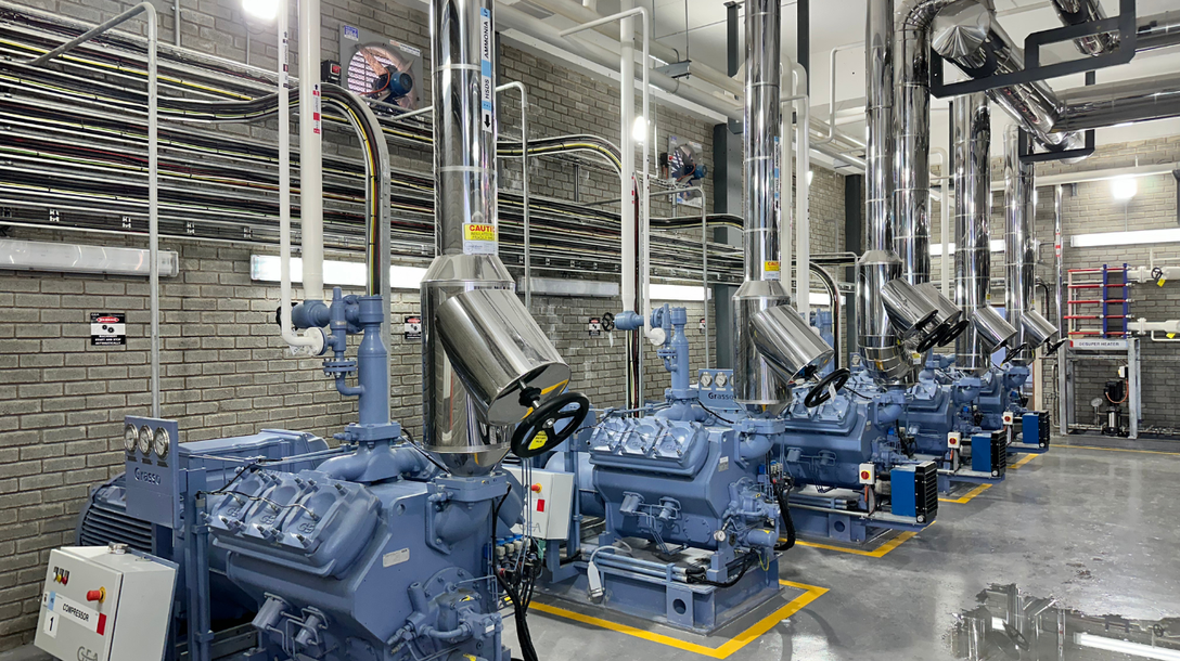 Electrical Reticulation for Ammonia Refrigeration